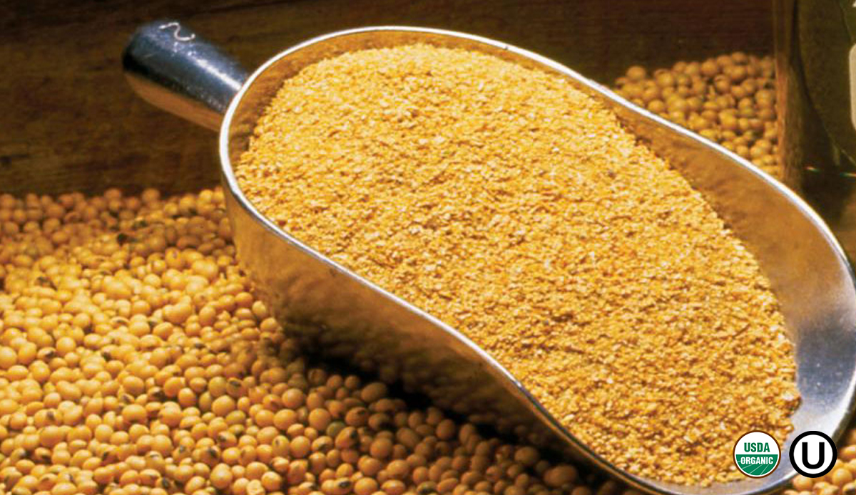 Soybean Meal